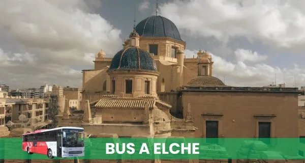 BUS A ELCHE